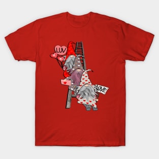 Valentines Day Gifts Cute Gnomes Love Matching Couple T-Shirt